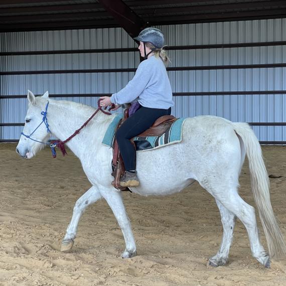 Jewel, a White and Grey horse with rider