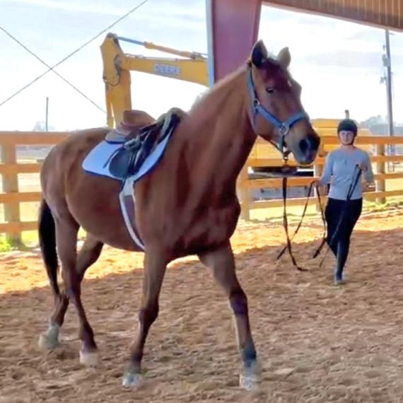 Belle, in Arena
