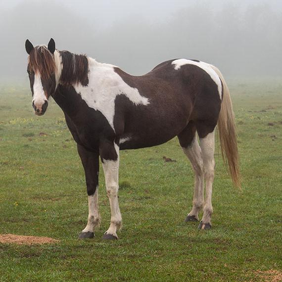 Beautiful Luna