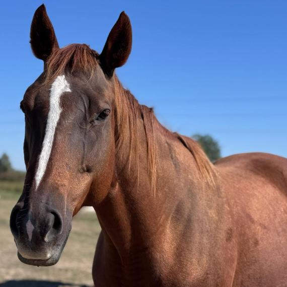 a loving “auntie”