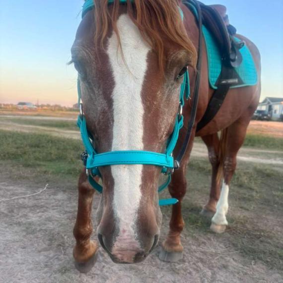 Front view of Rihanna