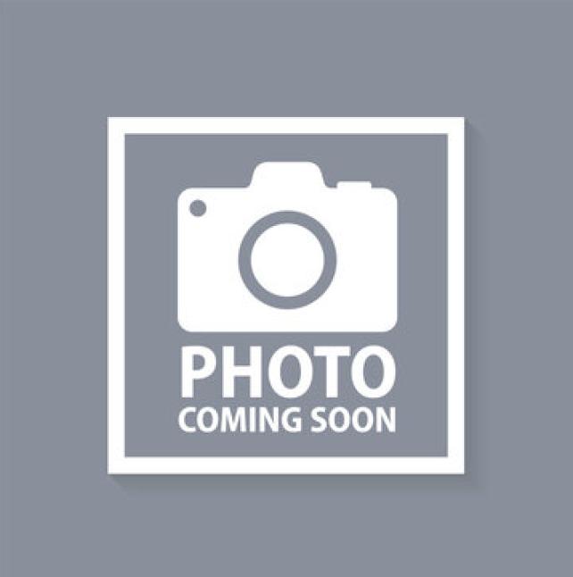 Beverly, a chestnut mare