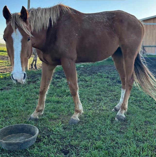 Atlantis Profile Photo