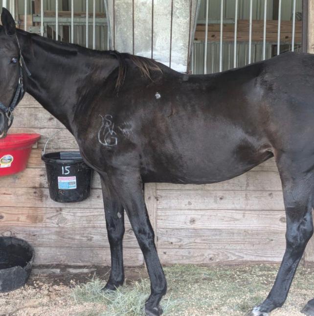 Champagne Profile Photo