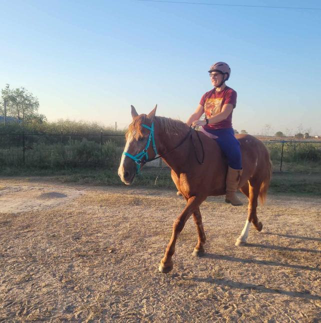 Rihanna, a large mustang