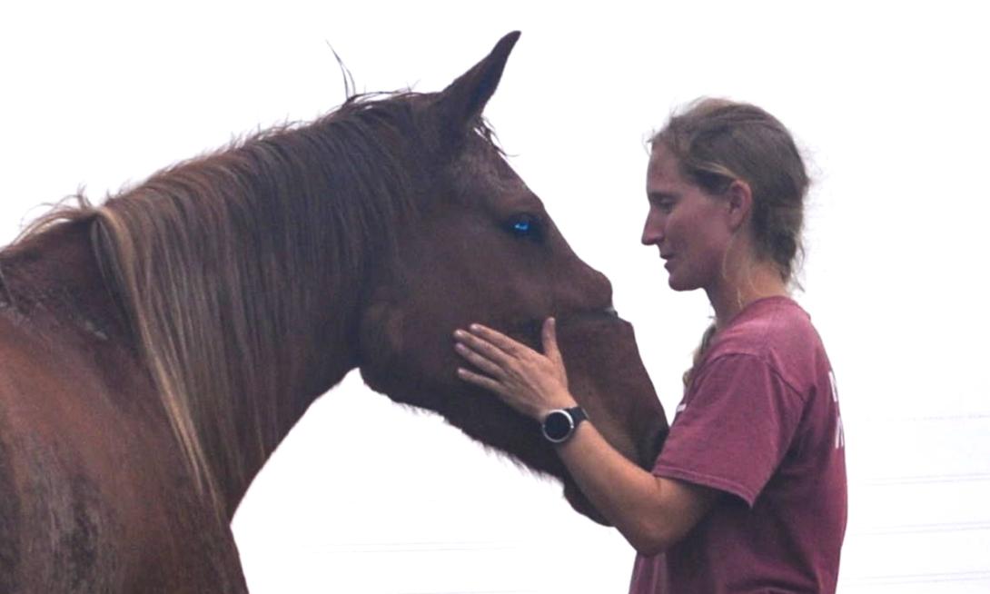 Young woman with a horse