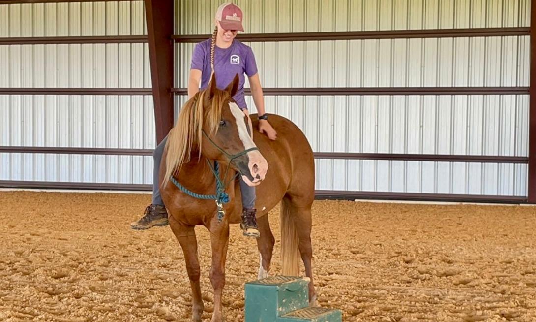 trainer sitting on a horse