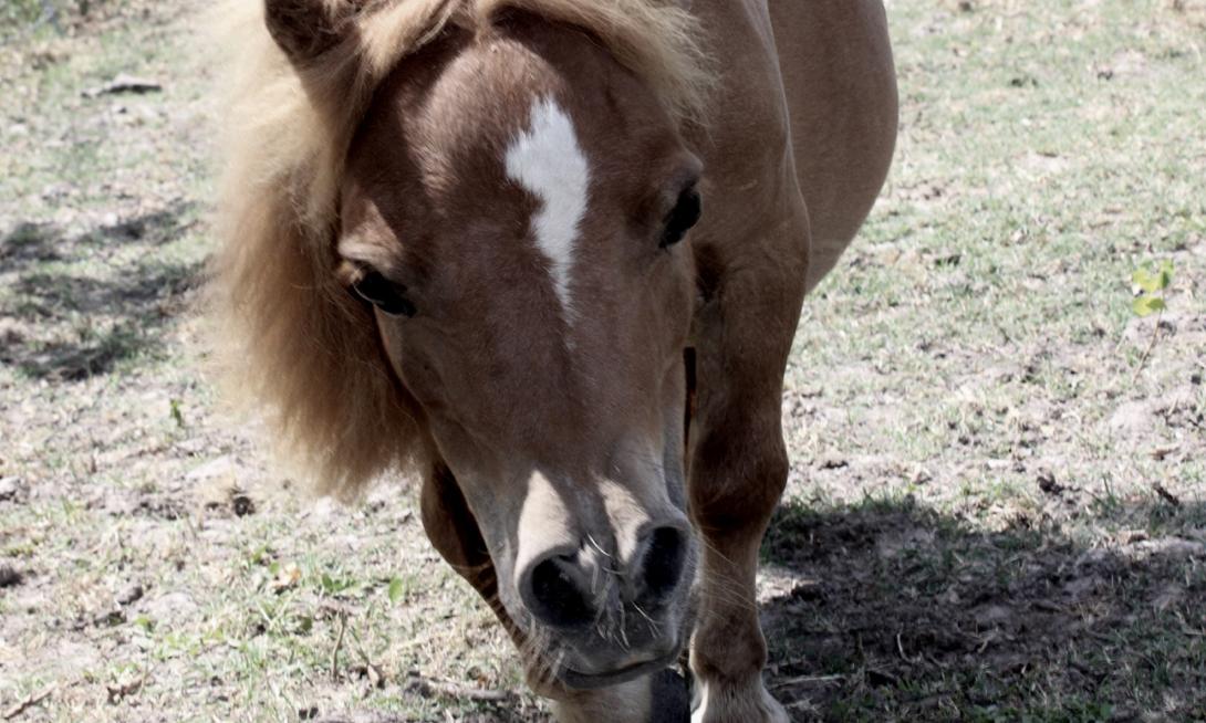 But that day changed Munchie’s life, and we supported his recovery.