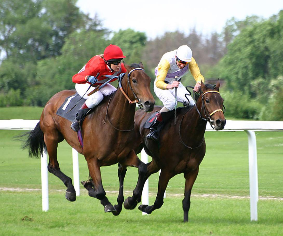 Two people riding horses in a race