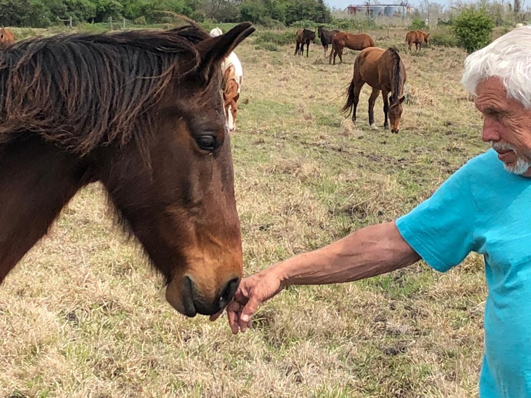 Jerry Finch reaching out to the nose of horse