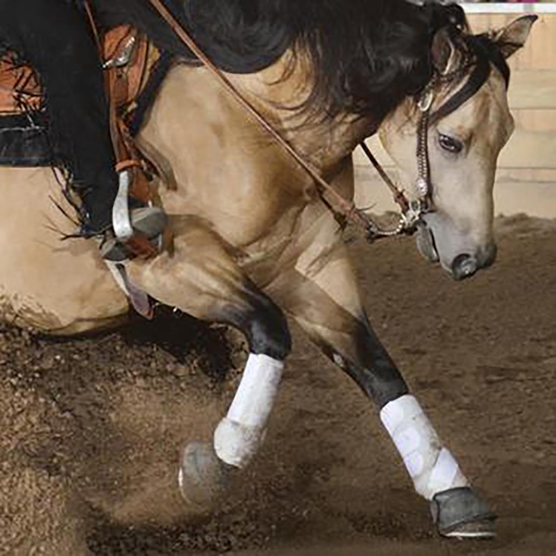 Running horse with a rider