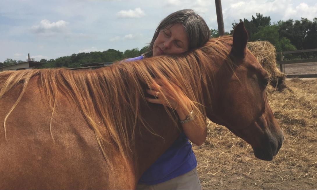 A woman hugging a brown horse named Sabrina