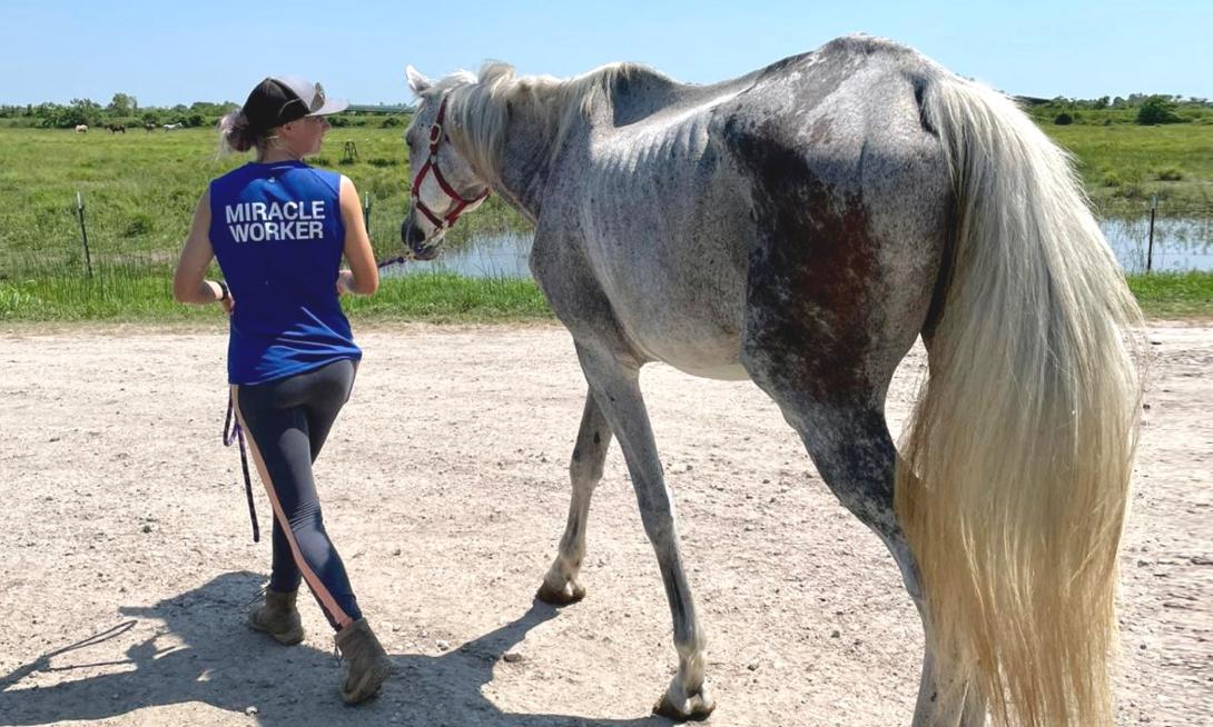 Miracle Ranch: Habitat for Horses’ Sanctuary